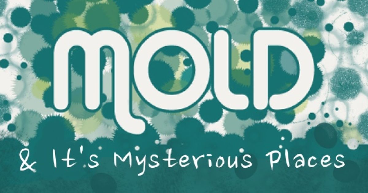 Infographic: Mold And Its Mysterious Places