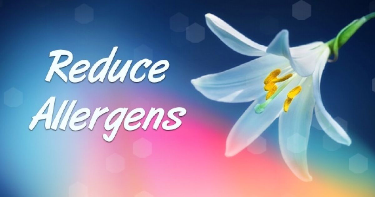 Spring Clean These 6 Things to Reduce Allergens