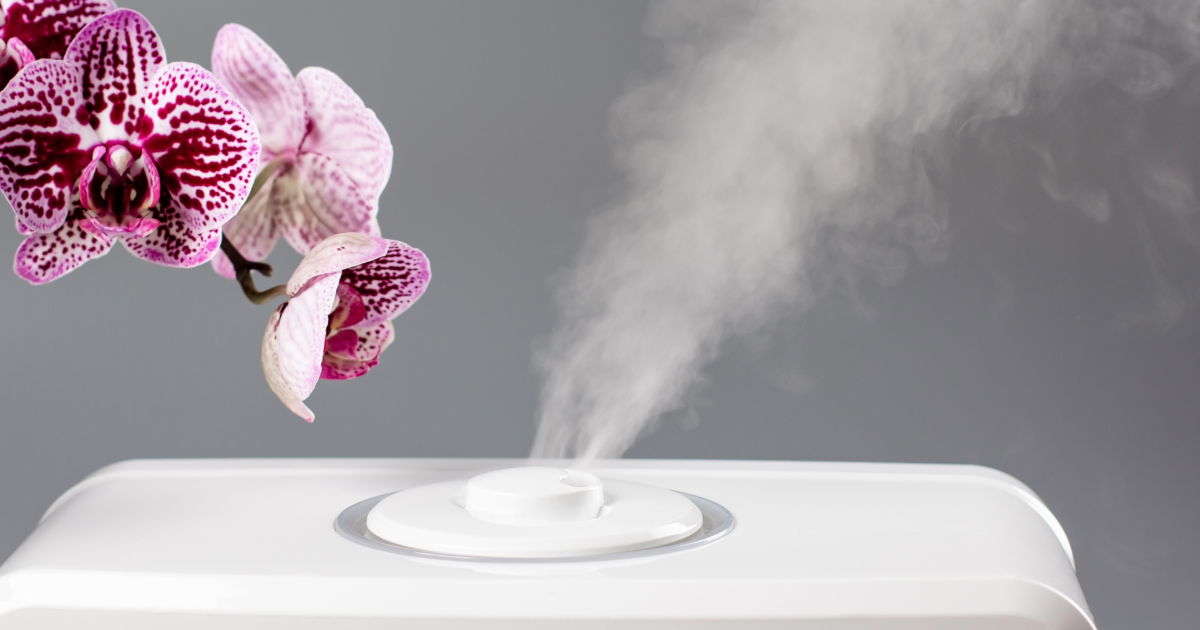 Choices for Your Home: Humidifiers and Dehumidifiers