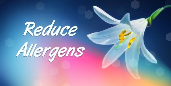 Spring Clean To Reduce Allergens