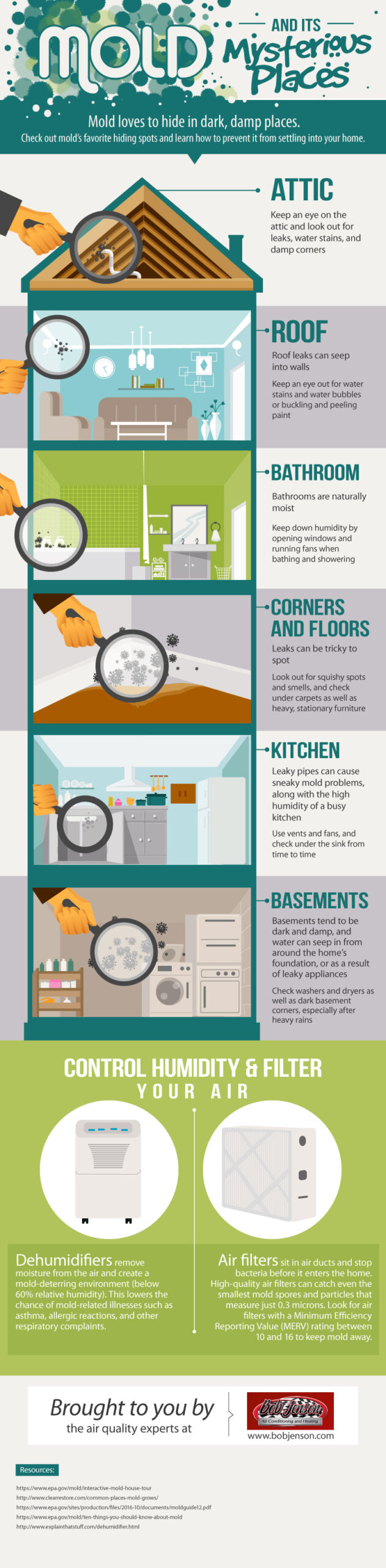 Places Where You Find Mold Infographic